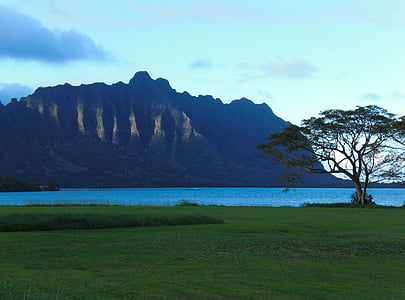 green grass and body of water thumbnail