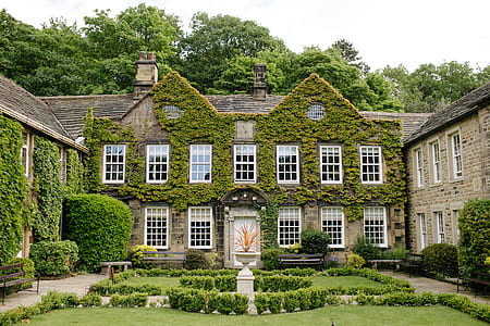 green grass surrounded on house thumbnail
