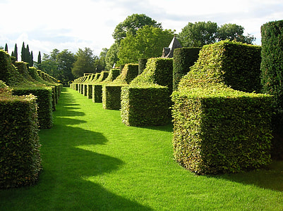 French Garden, 18Th Century thumbnail
