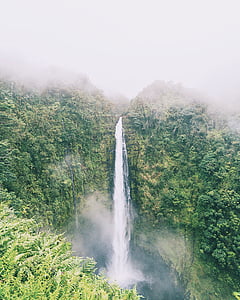 waterfalls with green trees under foggy sky thumbnail