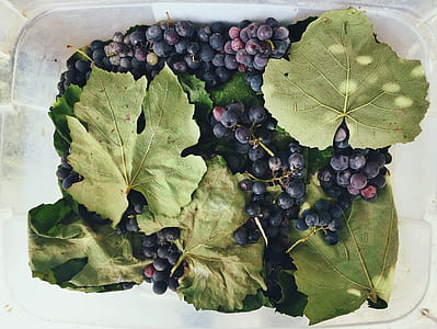 fruits and leaves on clear glass tray thumbnail