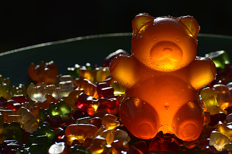 Giant Rubber Bear, Gummibär thumbnail