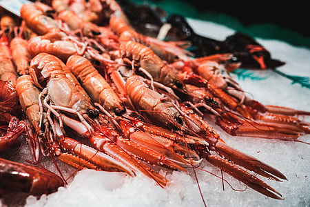 La Boqueria food market Barcelona Spain thumbnail