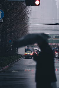 man holding black umbrella thumbnail