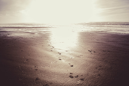 Beach, Sand thumbnail