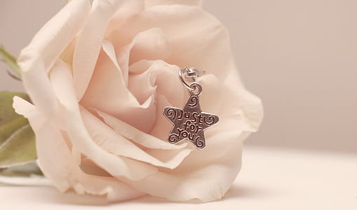 silver-colored star pendant on white rose thumbnail