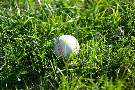 shallow focus photography of white baseball on green grass thumbnail