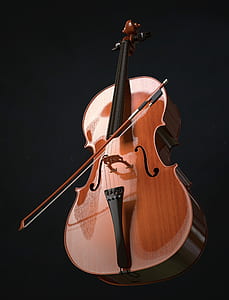brown and black violin and bow thumbnail