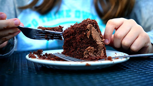 chocolate cake on white ceramic plate thumbnail