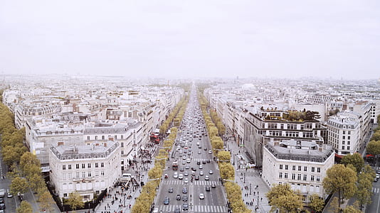 aerial photo of city buildings during daytime thumbnail