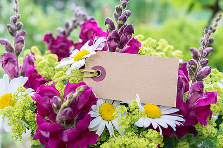 focus photo of pink and white petaled flower bouquet thumbnail
