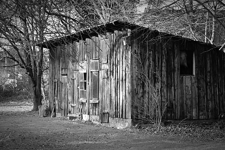 grayscale photo of wooden house surrounded by bare trees thumbnail