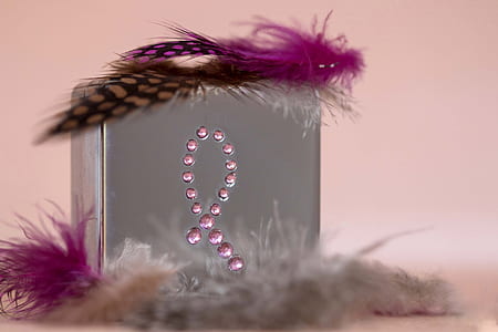photo of grey and purple box with feathers thumbnail