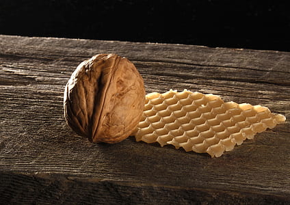 Brown Walnut on Brown Wooden Surface thumbnail