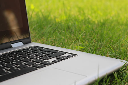 laptop on green grass lawn thumbnail
