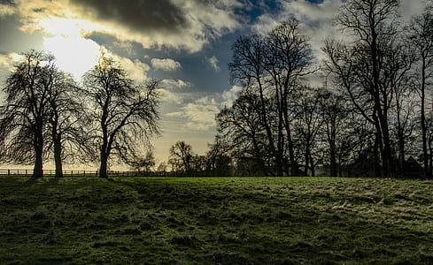 light, dawn, landscape, nature thumbnail