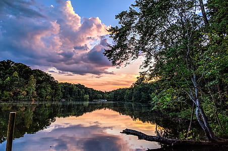 Scenic Photo of a River thumbnail
