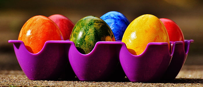 six assorted-color eggs on purple plastic tray thumbnail