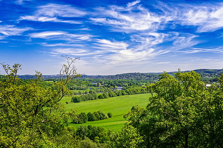 green trees under sky thumbnail