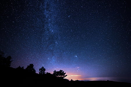 Silhouette Photo of Trees during Night Time thumbnail