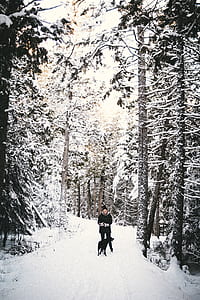 woman standing beside dog between tall trees thumbnail