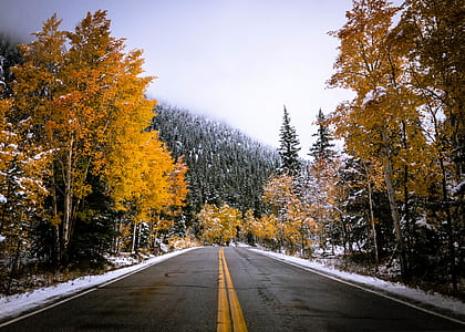 snowy asphalt road thumbnail