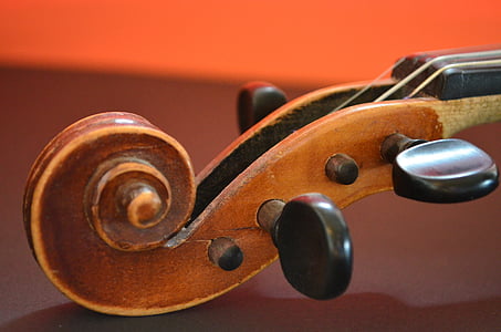 brown wooden string instrument head thumbnail