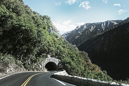 empty road near tunnel and trees thumbnail