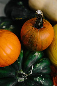 Variety of Pumpkins thumbnail