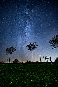 milky way galaxy can be seen through trees thumbnail