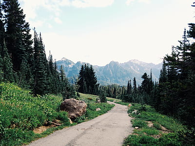 mountains, nature, forest, hiking thumbnail