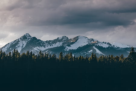 snow-capped mountain surrounded with green trees thumbnail