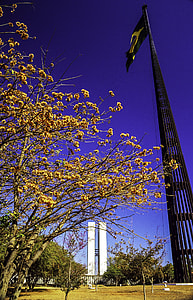Brazilian Flag and the National Congress in spring in Brasilia, Brazil thumbnail
