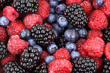 Blue Berries Close Up Photography thumbnail
