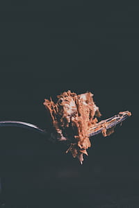close up photo of chocolate cake on gray fork thumbnail