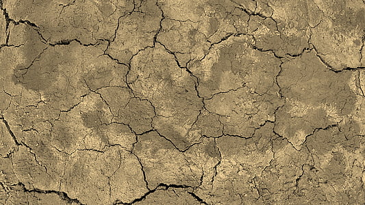 focus photo of dry soil thumbnail