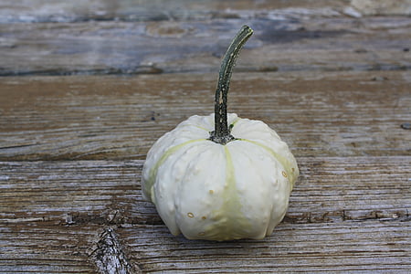 small white squash thumbnail