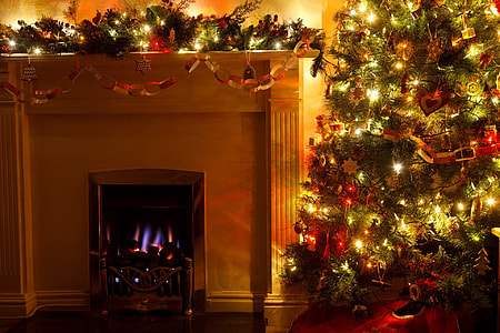 photo of green Christmas tree with string lights thumbnail