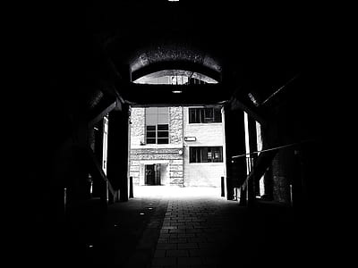 black-and-white, dark, building, windows thumbnail