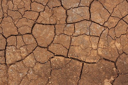 brown cracked soil closeup photo thumbnail