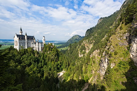 white and black castle surrounded with pine trees thumbnail