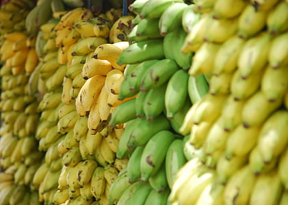 banana fruit lot thumbnail