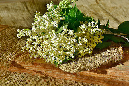 white flowers on table thumbnail