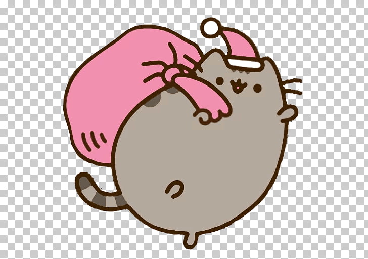 pusheen cat christmas gift