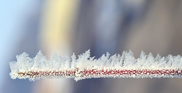 close up photo of snowflakes on stick thumbnail