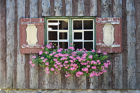 photo of brown and white wooden window with pink petaled flowers thumbnail