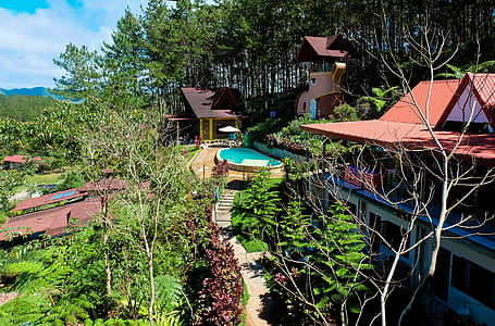 View of Swimming Pool and Cottages in Resort thumbnail