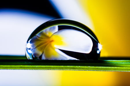 water dew with flower relection thumbnail