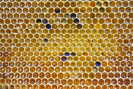 beehive thumbnail