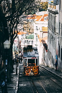brown ad gray train beside tree thumbnail